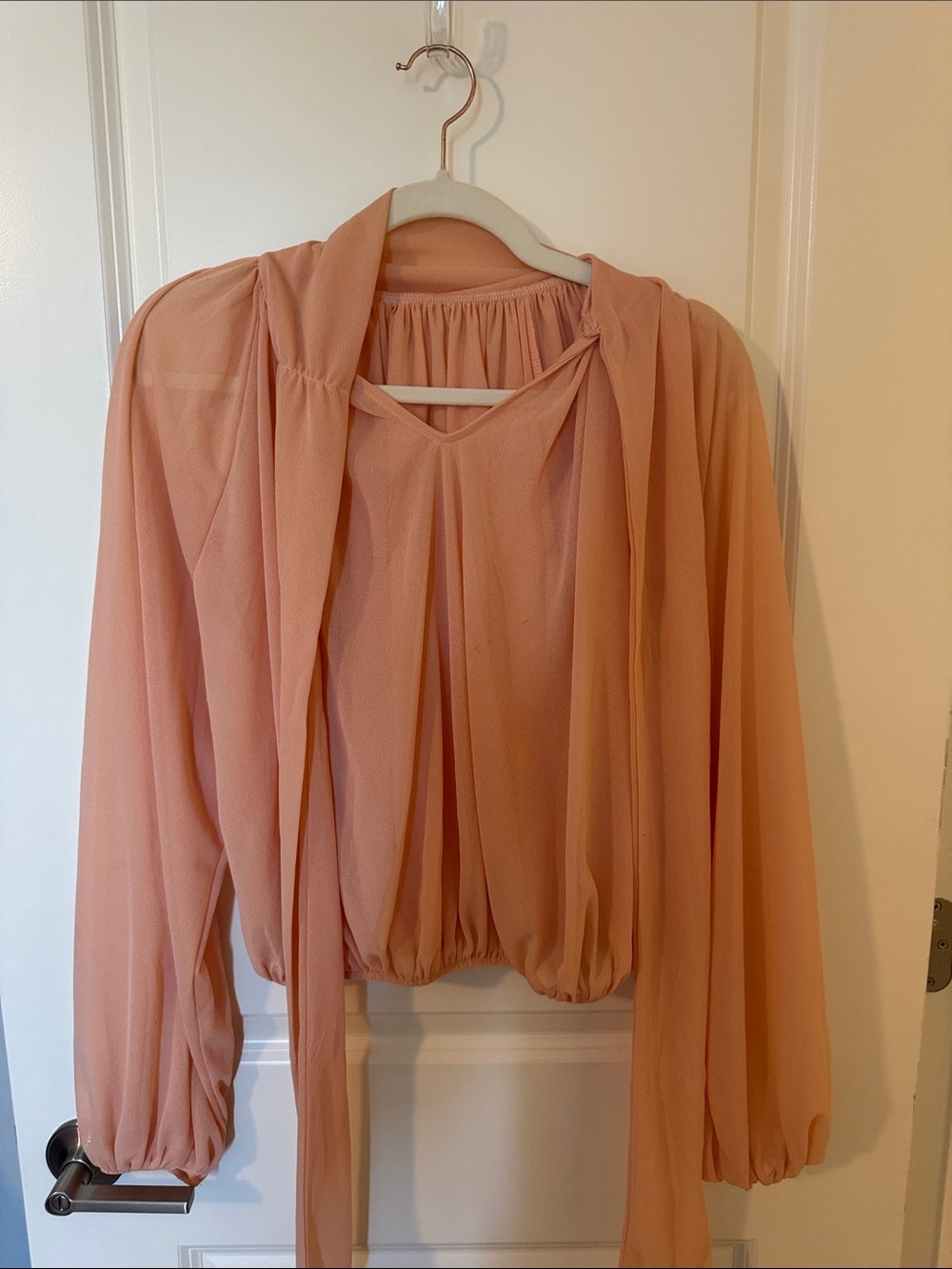 Zara Blush Tie-Neck Long-Sleeve Blouse